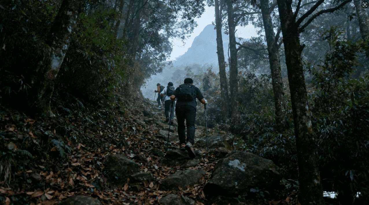 目前有哪些加速器可以用在Ins平台上？